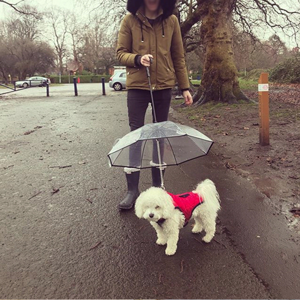 Stay Dry & Stylish – Transparent Dog Umbrella with Leash for Rainy Walks!" ☔