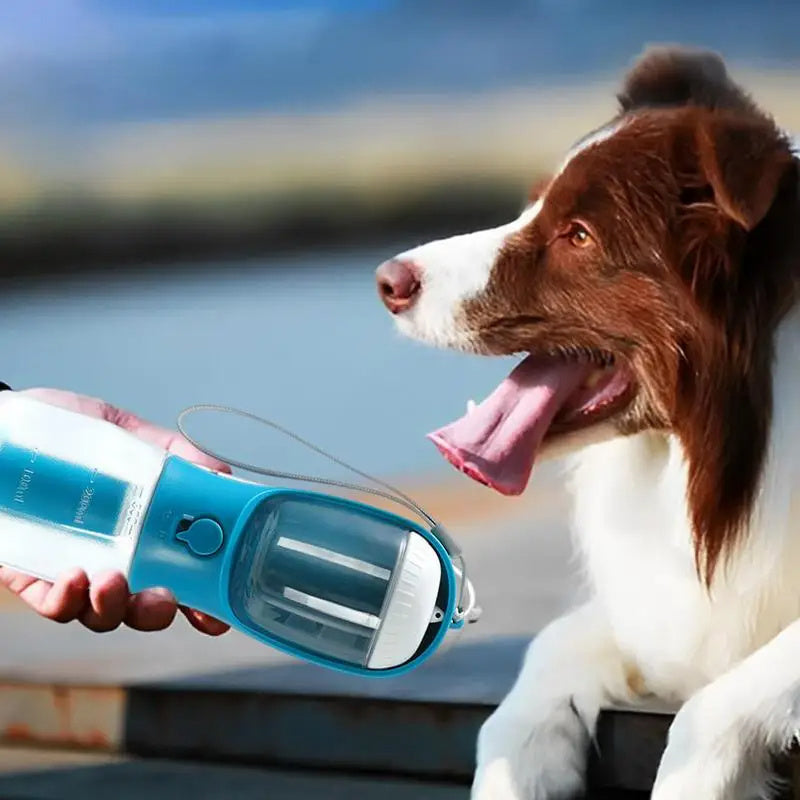 PawAdventure 3-in-1 300ML Pet TravelBuddy