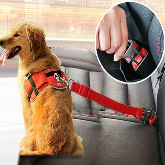 Secure And Adjustable Seatbelts for Pets