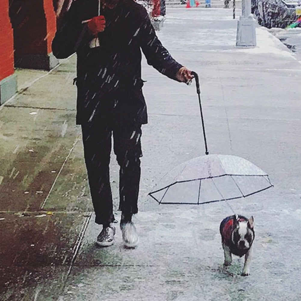 Stay Dry & Stylish – Transparent Dog Umbrella with Leash for Rainy Walks!" ☔
