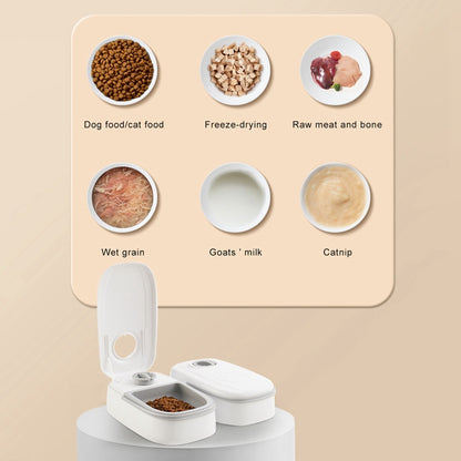 PetMeal Smart Feeder