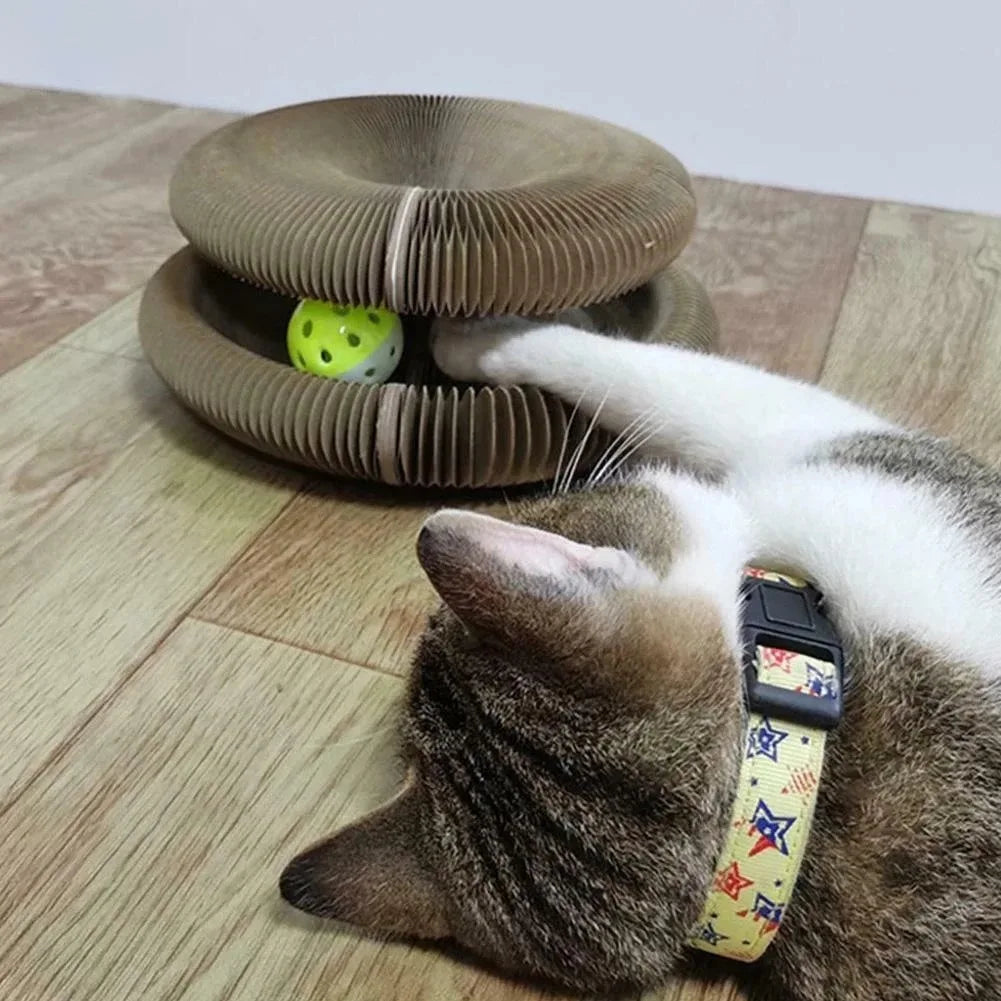 🧠 Shape, Scratch & Play – The Ultimate Cat Enrichment Toy 